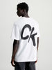 Calvin Klein Relaxed Spray Print T-shirt