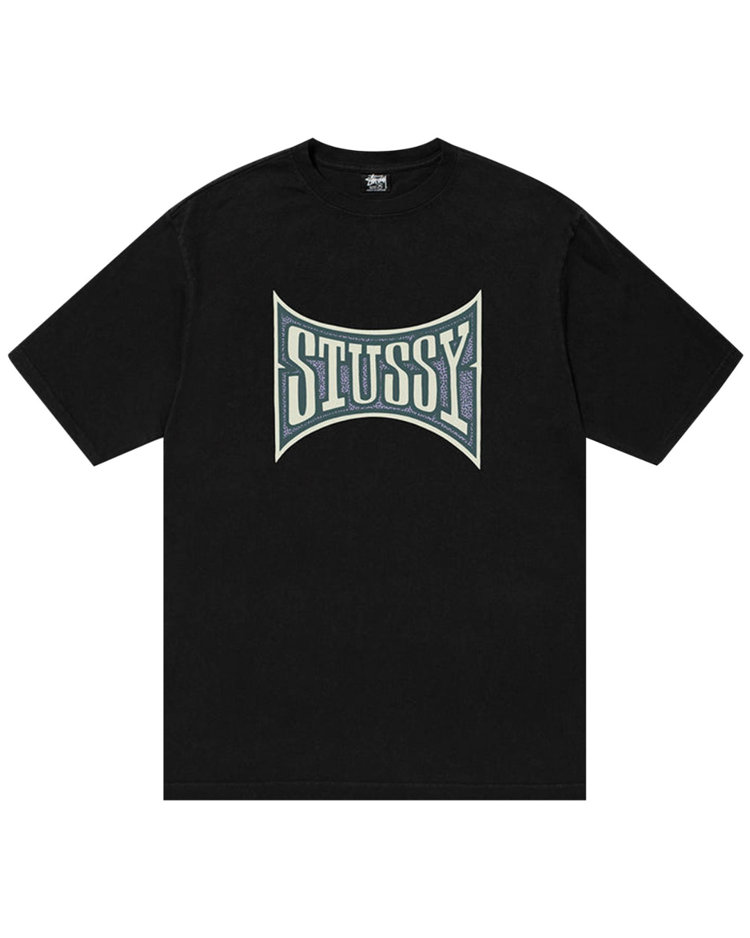 Stussy Champion Pigment Dyed T-shirt