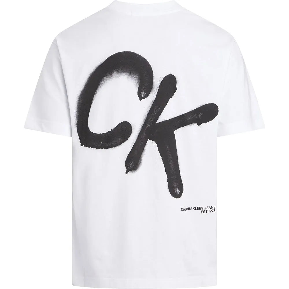 Calvin Klein Relaxed Spray Print T-shirt