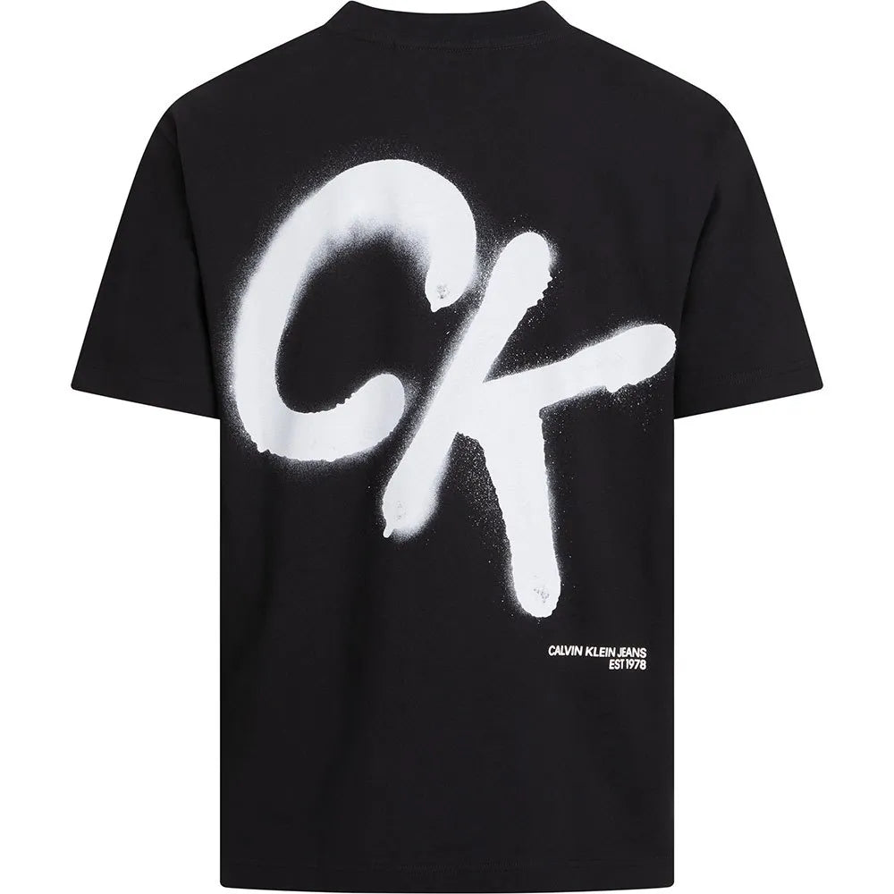 Calvin Klein Relaxed Spray Print T-shirt